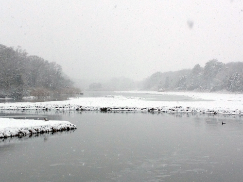 Brushes Creek in Laurel (Catherine Irwin courtesy photo)