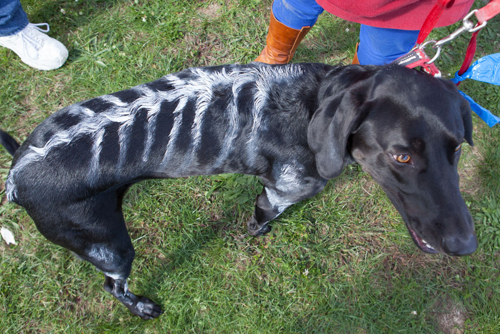 Howl-o-Tail_ss06