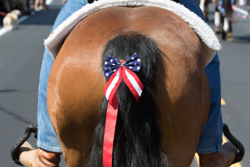 The official Southold Town Memorial Day was held in Southold village, proceeding from Boisseau Avenue and Main Road to Griswold-Terry-Glover American Legion Post 803 at Tuckers Lane. (Credit: Katharine Schroeder)