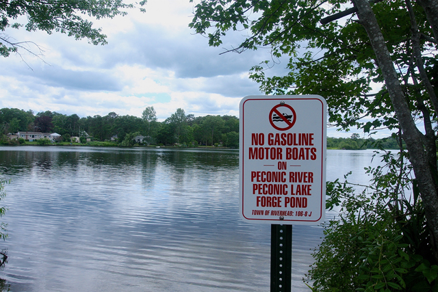 Peconic Lake. (Credit: Barbaraellen Koch)