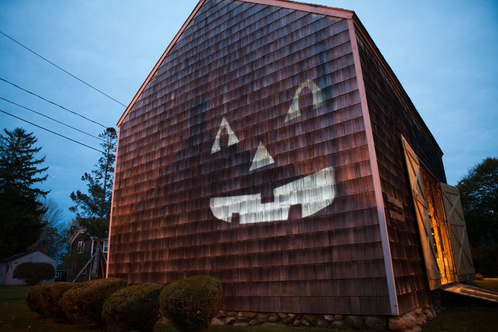 SHD_pumpkins_ss_01