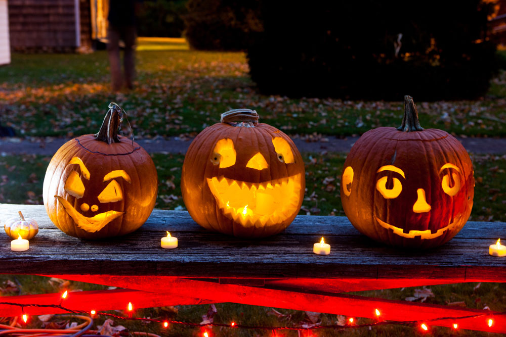 SHD_pumpkins_ss_03