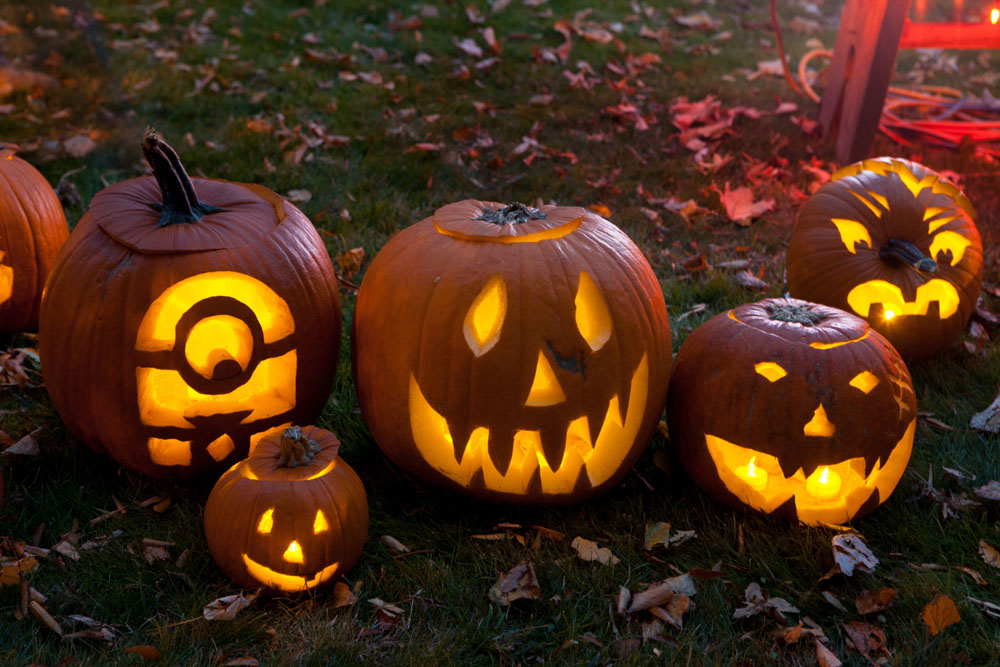 SHD_pumpkins_ss_04