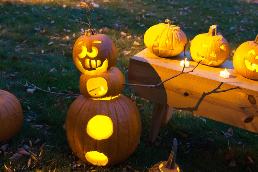 SHD_pumpkins_ss_05