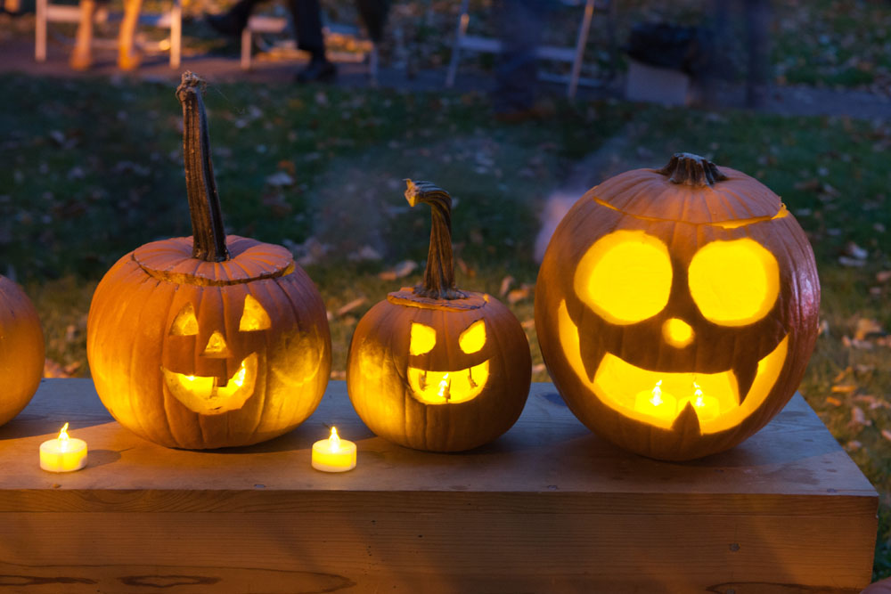 SHD_pumpkins_ss_06