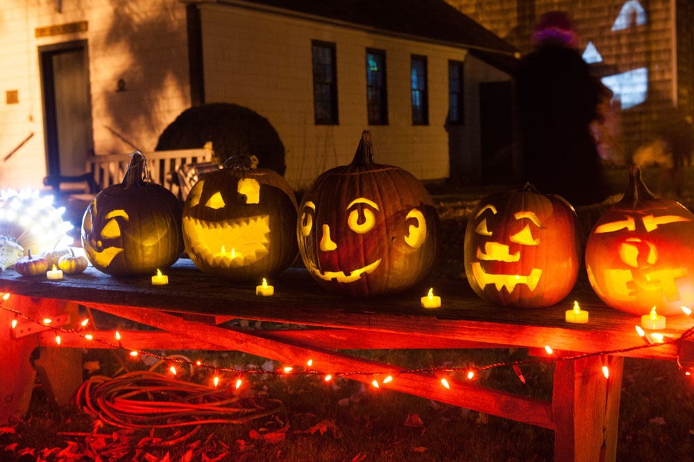 SHD_pumpkins_ss_13