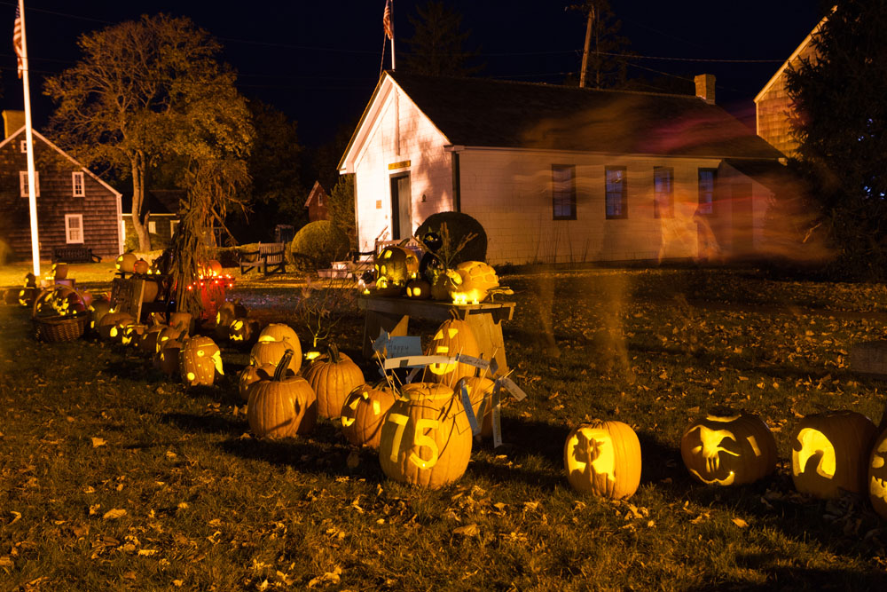 SHD_pumpkins_ss_14