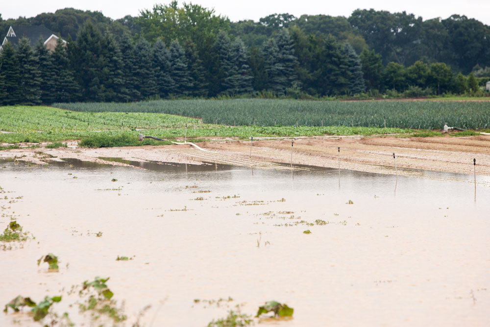 Flooding on Wells Road. (Credit: Katharine Schroeder)