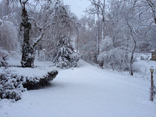 Snow in Mattituck (Photo by Debbie Celic).