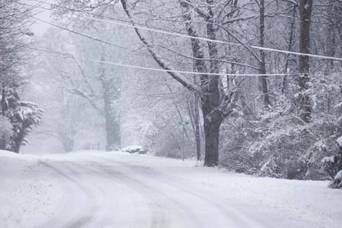 KATHARINE SCHROEDER PHOTO | Snow covers wires and branches on New Suffolk Road in Cutchogue.