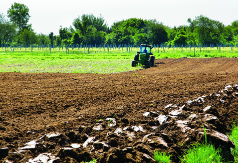 T052611_tractor_2_KS_C.jpg