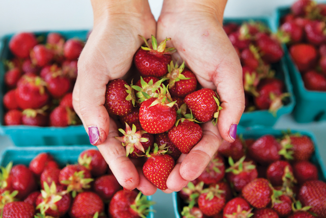 Aside from being delicious, strawberries are packed with antioxidants and vitamin C. What's not to love? (Credit: Katharine Schroeder)