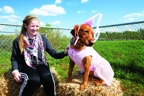 T102011_dog_party_KS_C