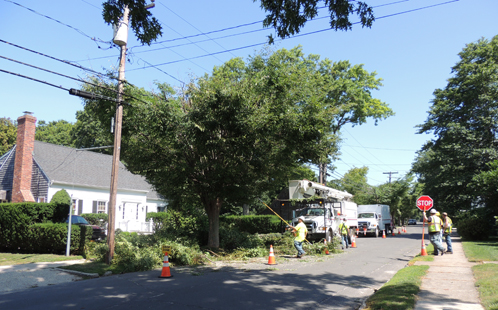 Workers with Lewis Tree Service trim a tree Tuesday morning on Village Lane in Orient. (Credit: Claire Leaden)