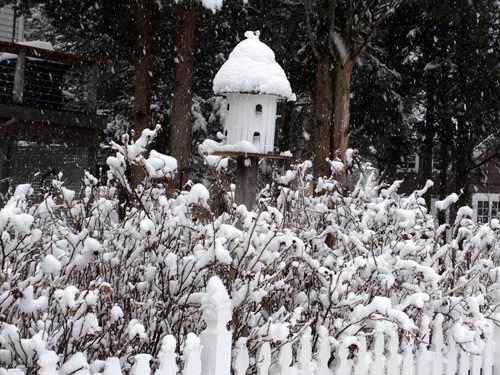 Nestled in — A bird house in Laurel. (Catherine Irwin courtesy photo)