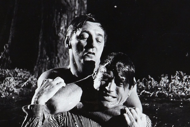 Cape Fear