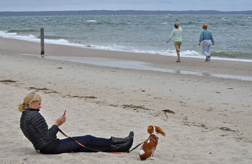 on the beach
