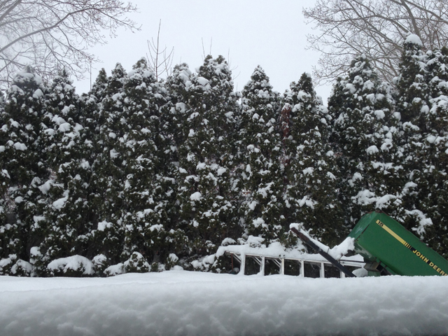 The beginning of spring brought several inches of snow along with it. (Credit: Joe Werkmeister)