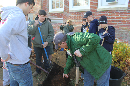 CARRIE MILLER PHOTO | Southold Boy Scouts planted a cherry blossom tree in honor of member Ronan Guyer, who died of a heart attack last year.