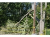 Brookhaven's 2nd District three days after Irene