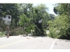 Brookhaven's 2nd District three days after Irene