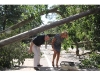 Brookhaven's 2nd District three days after Irene