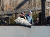 Overnight fire destroys Wellington Bar and Grill