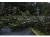 Hurricane Irene strikes the North Shore