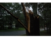 Hurricane Irene strikes the North Shore