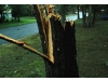 Hurricane Irene strikes the North Shore