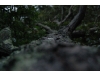 Hurricane Irene strikes the North Shore