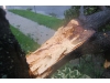 Hurricane Irene strikes the North Shore