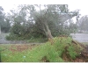 Hurricane Irene strikes the North Shore