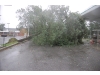 Hurricane Irene strikes the North Shore