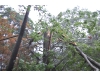 Hurricane Irene strikes the North Shore