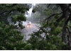 Hurricane Irene strikes the North Shore