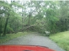 Reader photos from Tropical Storm Irene