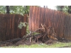 Reader photos from Tropical Storm Irene