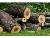 Reader photos from Tropical Storm Irene