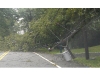 Reader photos from Tropical Storm Irene