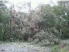 Reader photos from Tropical Storm Irene