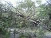 Reader photos from Tropical Storm Irene
