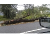 Reader photos from Tropical Storm Irene