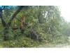 Reader photos from Tropical Storm Irene