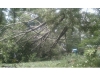 Reader photos from Tropical Storm Irene