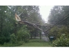 Reader photos from Tropical Storm Irene