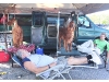 Riverhead Kennel Club Dog Show