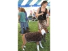 Riverhead Kennel Club Dog Show