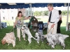 Riverhead Kennel Club Dog Show