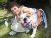 Riverhead Kennel Club Dog Show